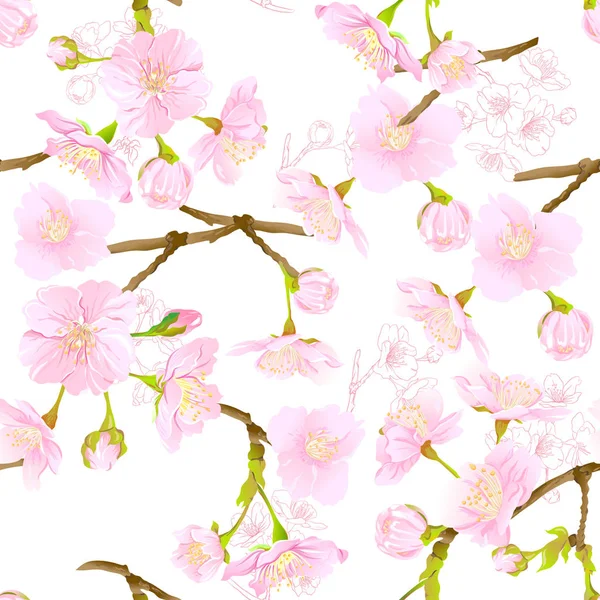 Nahtloses Muster, Hintergrund mit blühender japanischer Sakura aus Kirsche — Stockvektor