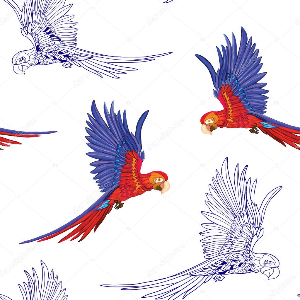 Seamless pattern, background  with birds.  Vector illustration