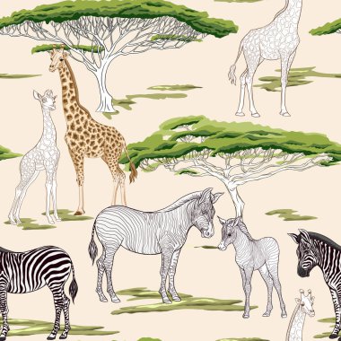Dikişsiz desen, Yetişkin zebra, zürafa ve zebra ve zürafa arka plan yavrularını. Vektör çizim.  