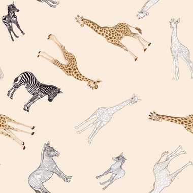 Dikişsiz desen, Yetişkin zebra, zürafa ve zebra ve zürafa arka plan yavrularını. Vektör çizim.  