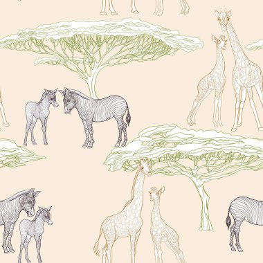 Dikişsiz desen, Yetişkin zebra, zürafa ve zebra ve zürafa arka plan yavrularını. Vektör çizim.  