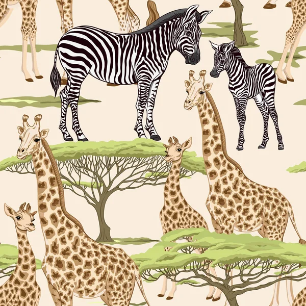 Wzór, tło zebra dla dorosłych i żyrafa i zebry i żyrafy cubs. Ilustracja wektorowa. — Wektor stockowy