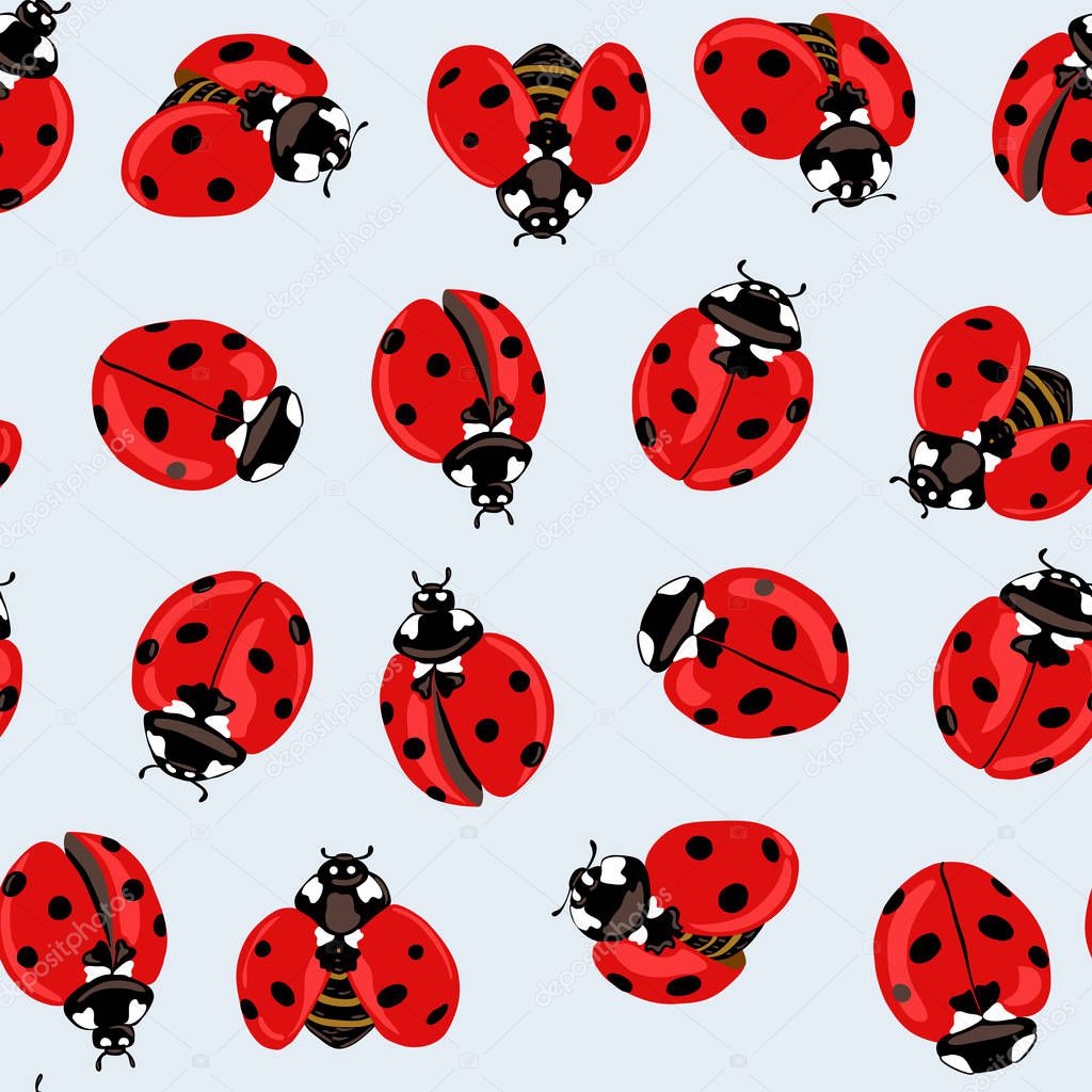 Ladybug seamless pattern, texture.