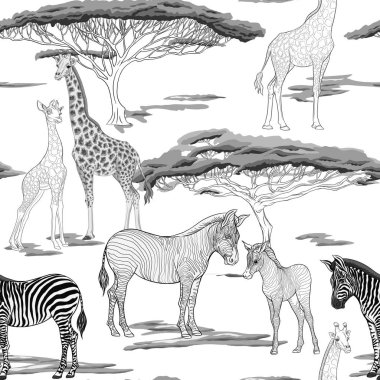 Dikişsiz desen, Yetişkin zebra, zürafa ve zebra ve zürafa arka plan yavrularını. Vektör çizim.  