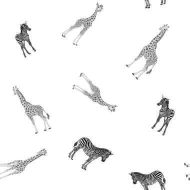 Dikişsiz desen, Yetişkin zebra, zürafa ve zebra ve zürafa arka plan yavrularını. Vektör çizim.  