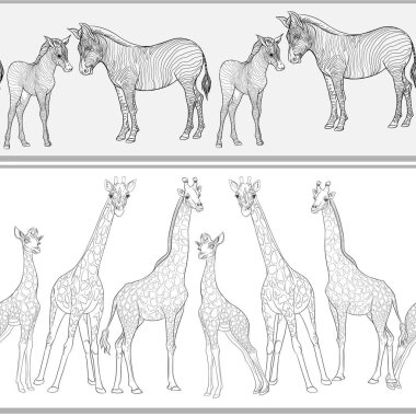Dikişsiz desen, Yetişkin zebra, zürafa ve zebra ve zürafa arka plan yavrularını. Vektör çizim.  