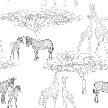 Dikişsiz desen, Yetişkin zebra, zürafa ve zebra ve zürafa arka plan yavrularını. Vektör çizim.  