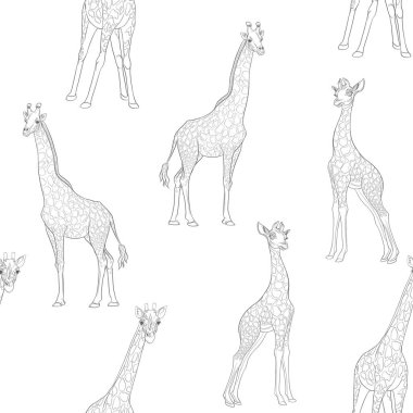 Zürafa ile Seamless modeli. Vektör çizim.
