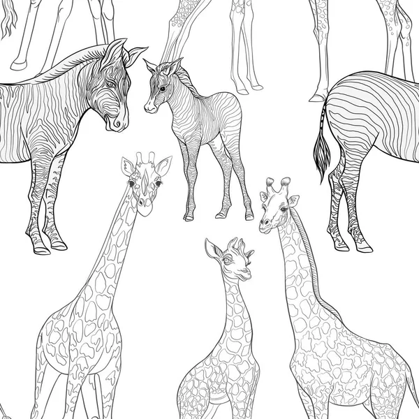 Бесшовный рисунок, фон со взрослой зеброй и жирафом, зеброй и детенышами жирафов. Векторная иллюстрация . — стоковый вектор