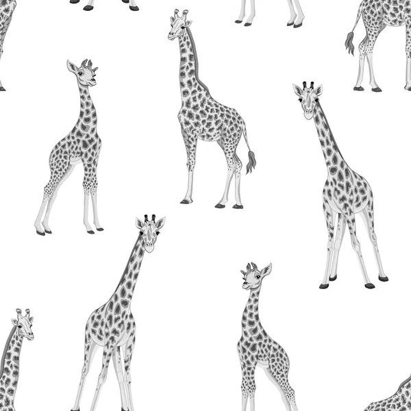 Безшовний візерунок з жирафом. Векторні ілюстрації . — стоковий вектор