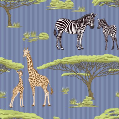 Dikişsiz desen, Yetişkin zebra, zürafa ve zebra ve zürafa arka plan yavrularını. Vektör çizim.  