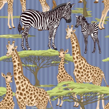 Dikişsiz desen, Yetişkin zebra, zürafa ve zebra ve zürafa arka plan yavrularını. Vektör çizim.  