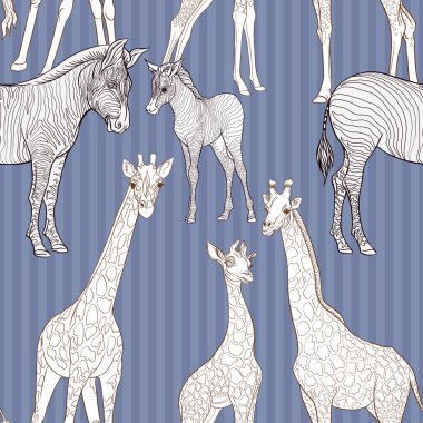 Dikişsiz desen, Yetişkin zebra, zürafa ve zebra ve zürafa arka plan yavrularını. Vektör çizim.  