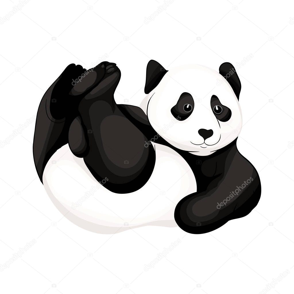Panda bear. Vector illustration without gradients and transparency.