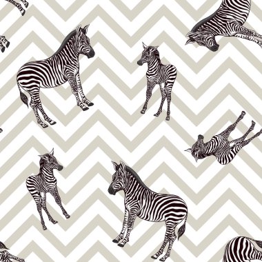 Dikişsiz desen, Yetişkin zebra ve zebra yavrusu arka plan. Vektör çizim.  