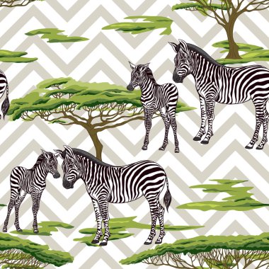 Dikişsiz desen, Yetişkin zebra ve zebra yavrusu arka plan. Vektör çizim.  