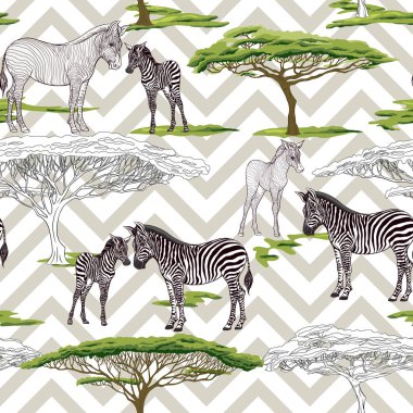 Dikişsiz desen, Yetişkin zebra ve zebra yavrusu arka plan. Vektör çizim.  