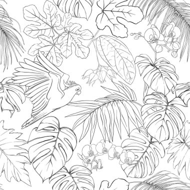 Dikişsiz desen, arka plan. tropik bitkiler ve çiçekler beyaz orkide çiçek ve tropikal kuşlar.