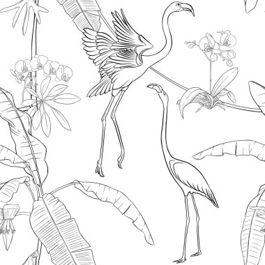 Dikişsiz desen, arka plan. tropik bitkiler ve çiçekler beyaz orkide çiçek ve tropikal kuşlar.