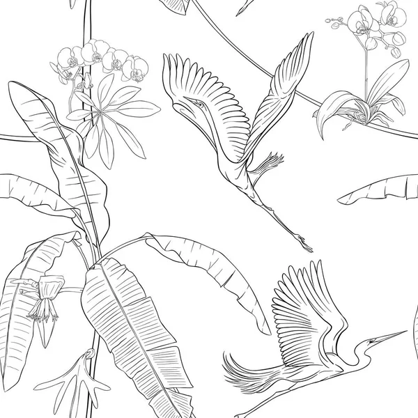 无缝模式, 背景。与热带植物和花与白色兰花花和热带鸟. — 图库矢量图片