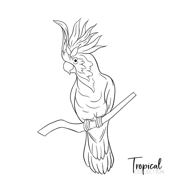 Tropisk fågel. Vektorillustration. — Stock vektor