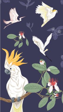 Feijoa çiçek açan çiçekler ile çiçek desenli arka plan