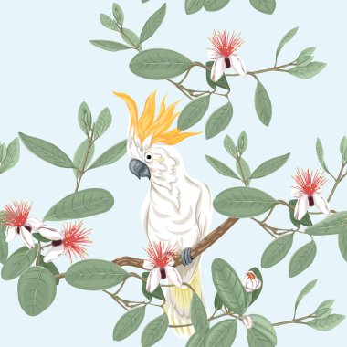 Dikişsiz desen, feijoa çiçek açan çiçekler ve balıkçıllar ve Kakadu papağan ile çiçek desenli arka plan.