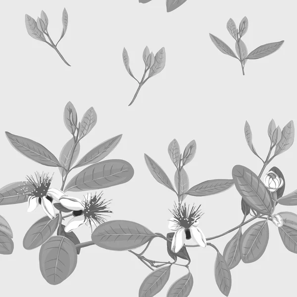 Seamless mönster, bakgrund med blommönster med feijoa blommande blommor — Stock vektor