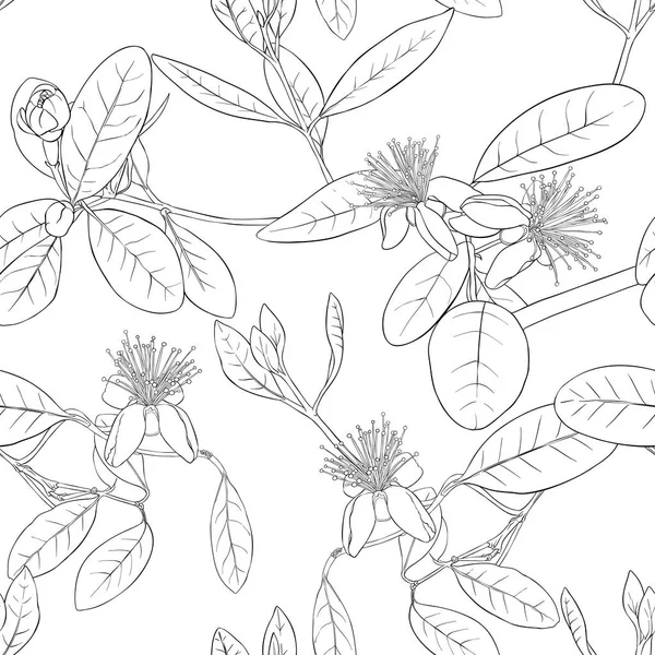 Seamless mönster, bakgrund med blommönster med feijoa blommande blommor — Stock vektor