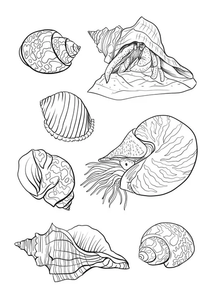 Sea Collection Original Vector Illustration Outline Hand Drawing Isolated White — Stock Vector