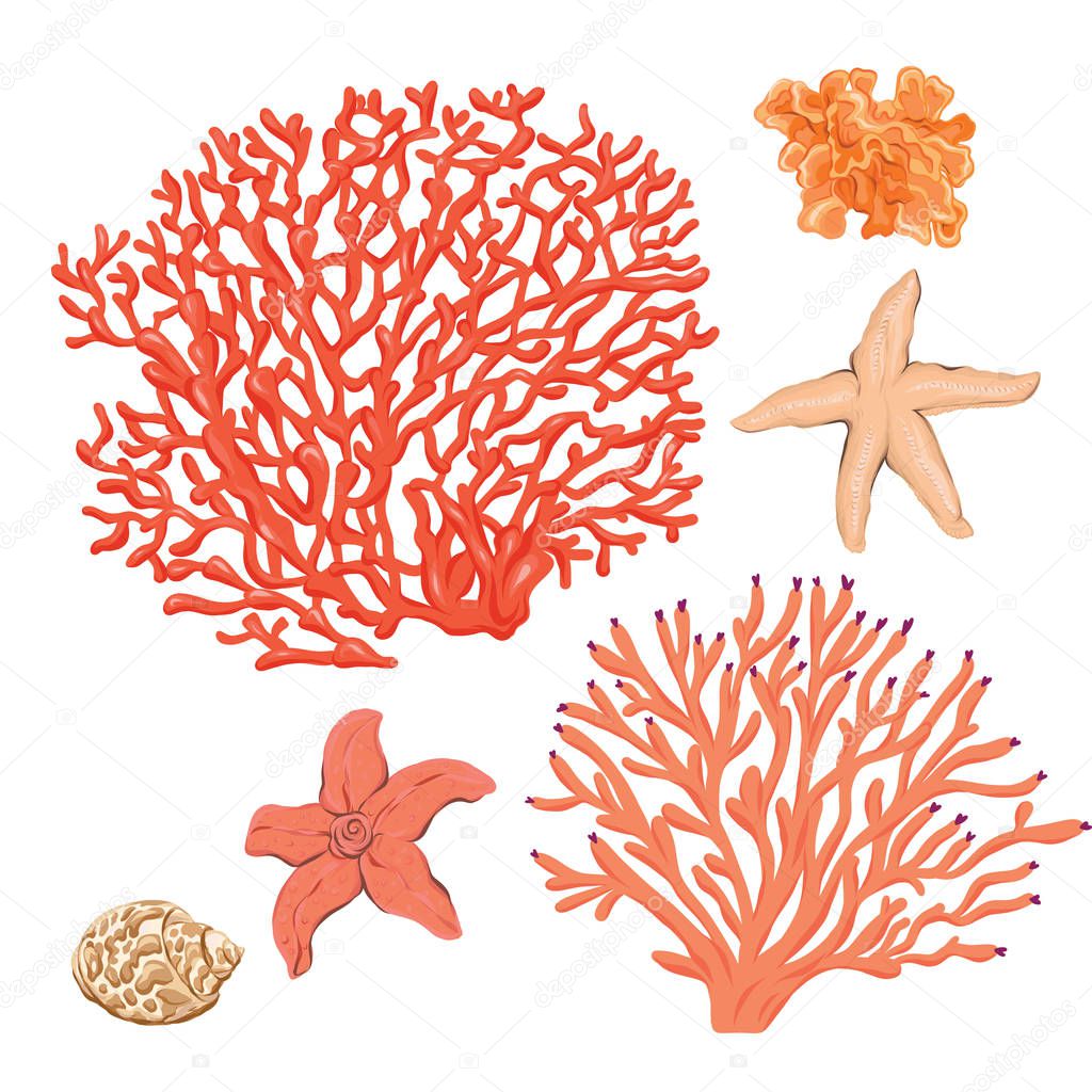 Sea collection. Original hand drawn.  Colored vector illustration without gradients and transparency. Isolated on white background.