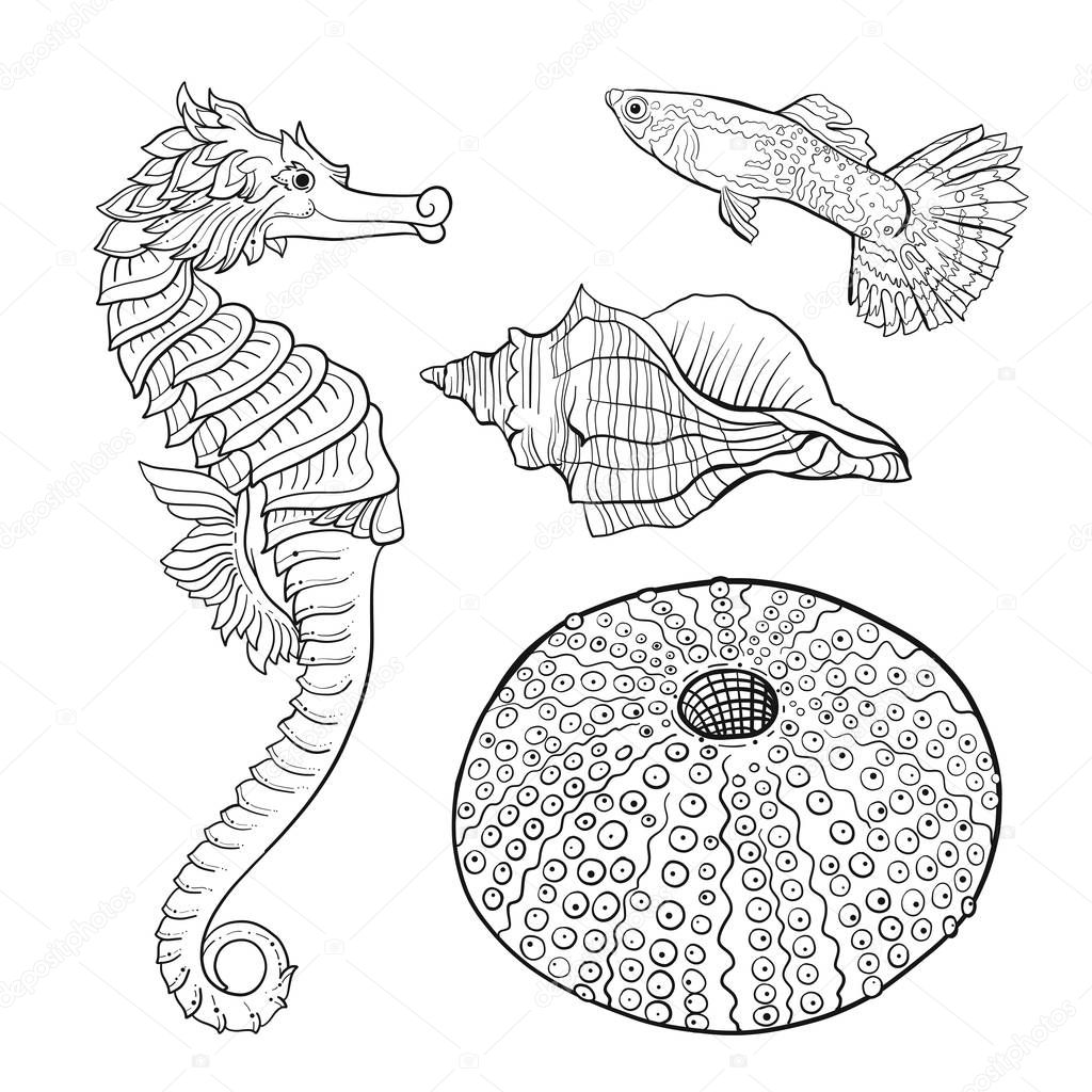 Sea collection. Original hand drawn. Vector illustration. Outline hand drawing. Isolated on white background.