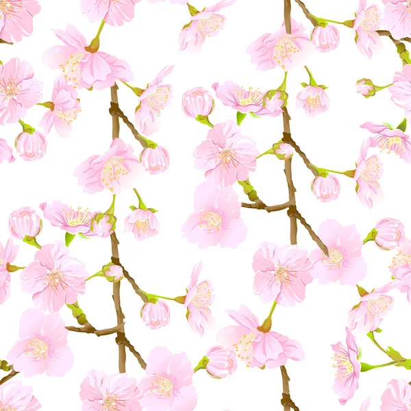 Seamless Pattern Background Blooming Cherry Japanese Sakura Soft Rose Pink — Stock Vector