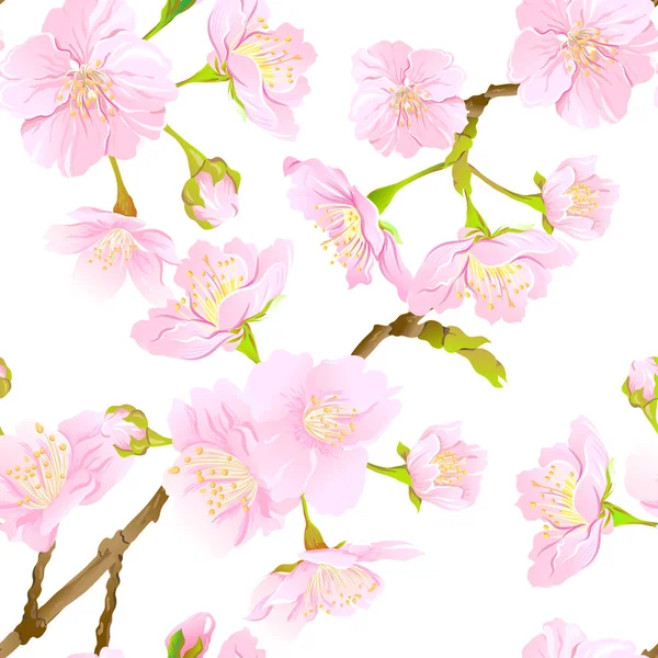 Nahtloses Muster Hintergrund Mit Blühender Japanischer Kirschsakura Sanften Rosaroten Farben — Stockvektor