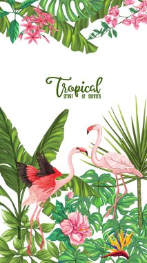 Şablon / poster, afiş, kartpostal tropik çiçekler ve bitkiler ve beyaz arka plan üzerinde flamingo kuşu. Hisse senedi vektör çizim.
