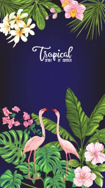 Şablon / poster, afiş, kartpostal tropik çiçekler ve bitkiler ve siyah arka plan üzerine flamingo kuşu. Hisse senedi vektör çizim.