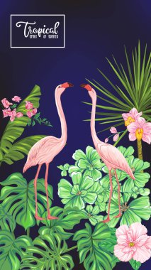 Şablon / poster, afiş, kartpostal tropik çiçekler ve bitkiler ve siyah arka plan üzerine flamingo kuşu. Hisse senedi vektör çizim.