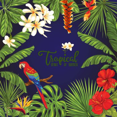 Şablon / poster, afiş, kartpostal ile tropik çiçekler ve bitkiler ve papağan kuş siyah arka plan üzerine. Hisse senedi vektör çizim.