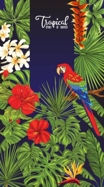 Şablon / poster, afiş, kartpostal ile tropik çiçekler ve bitkiler ve papağan kuş siyah arka plan üzerine. Hisse senedi vektör çizim.