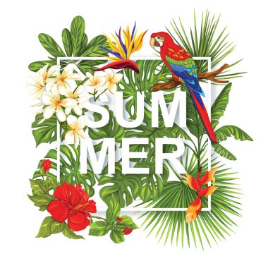 Şablon / poster, afiş, tropik çiçekler ve bitkiler ile kartpostal ve beyaz arka plan üzerinde kuş. Hisse senedi vektör çizim.