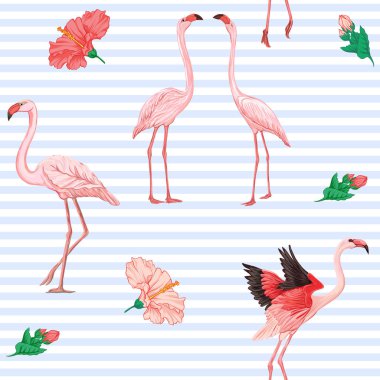 Dikişsiz desen, arka plan. pembe flamingolar ve mavi ve beyaz çizgili arka plan üzerinde tüyler ile. Hisse senedi vektör çizim.
