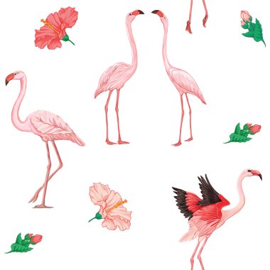 Dikişsiz desen, arka plan. pembe flamingolar ve tüyler beyaz bir arka plan ile. Hisse senedi vektör çizim.