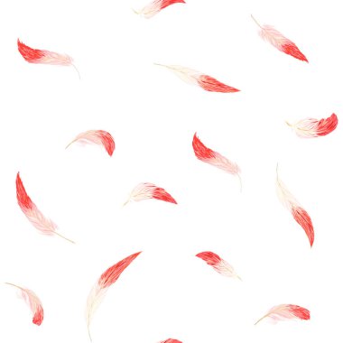 Dikişsiz desen, arka plan. beyaz bir arka plan üzerinde pembe flamingo tüyleri ile. Hisse senedi vektör çizim.