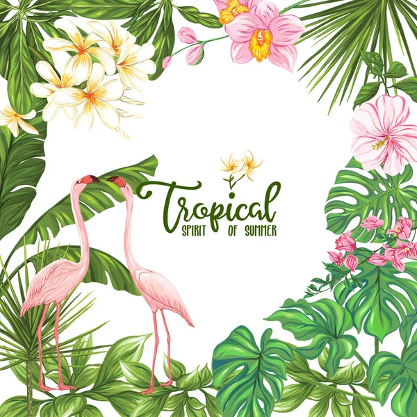 Szablon Plakat Baner Pocztówka Tropikalnych Kwiatów Roślin Flamingo Ptak Białym — Wektor stockowy
