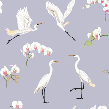 Dikişsiz desen, tropikal kuşlar ile arka plan. Beyaz balıkçıl, Kakadu papağan. Renkli vektör illustratio