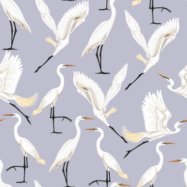 Dikişsiz desen, tropikal kuşlar ile arka plan. Beyaz balıkçıl, Kakadu papağan. Renkli vektör illustratio