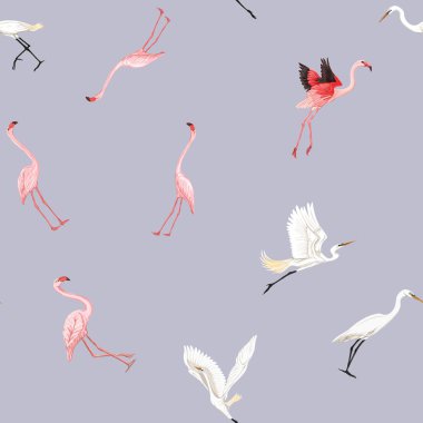 Dikişsiz desen, tropikal kuşlar ile arka plan. Beyaz balıkçıl, Kakadu papağan, flamingo. Renkli vektör illustratio