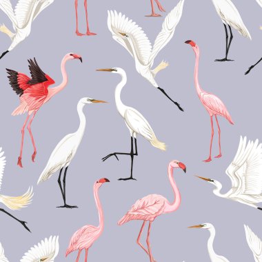 Dikişsiz desen, tropikal kuşlar ile arka plan. Beyaz balıkçıl, Kakadu papağan, flamingo. Renkli vektör illustratio