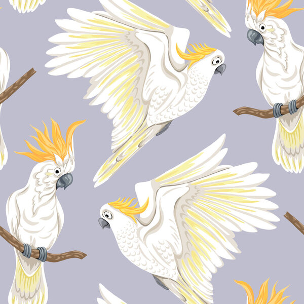 Seamless pattern, background with tropical birds. White heron, cockatoo parrot. Colored vector illustratio