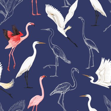 Seamless pattern, background with tropical birds. White heron, flamingo. Colored and outline design on navy blue background.. Vector illustration clipart